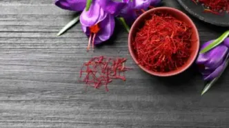 چگونه زعفران اصل و تقلبی را از هم تشخیص دهیم؟