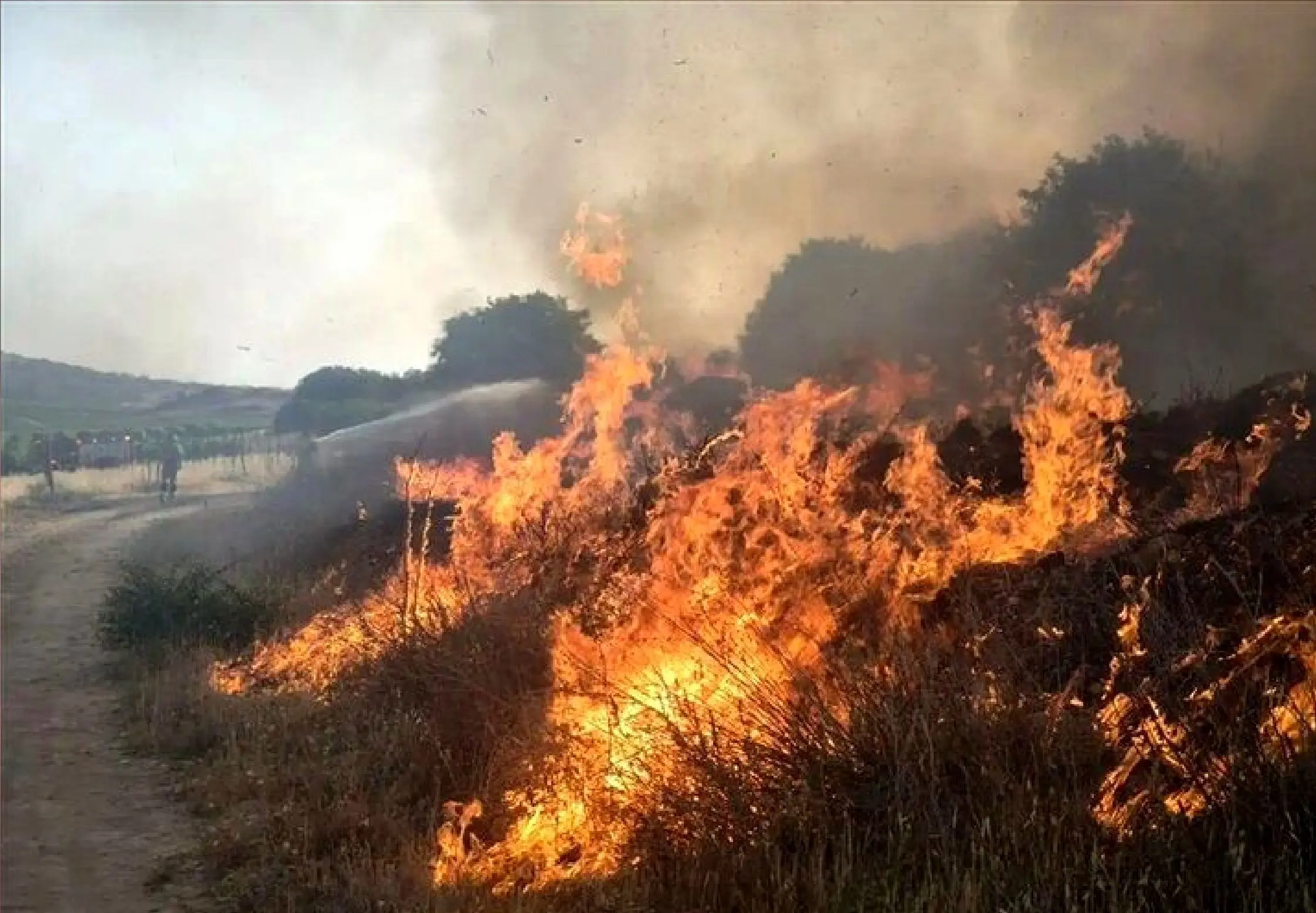 آتش‌سوزی هورالعظیم نفس خوزستانی‌ها را بند آورد