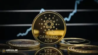 سقوط یا جهش؟ تحلیل تکنیکال تازه برای قیمت کاردانو