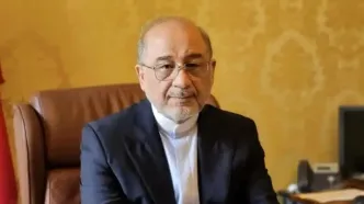سفیر ایران هشدار داد/مسئولیت کامل پیامدهای اسنپ‌بک، بر عهده آمریکا و تروئیکای اروپایی است