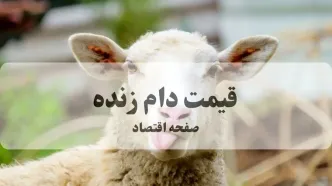 آخرین قیمت دام زنده امروز چهارشنبه ۷ آبان ماه ۱۴۰۴