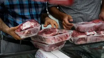گوشت کنیایی در راه تهران!