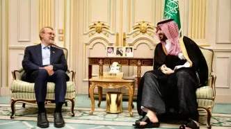 علی لاریجانی با خالد بن سلمان دیدار کرد