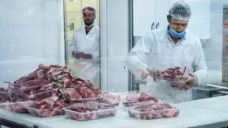 ماجرای واردات گوشت‌ آلوده از مغولستان