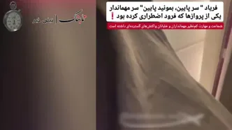 فریادهای مهماندار حین سانحه هوایی در ایران + فیلم