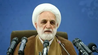 درخواست محسنی اژه‌ای برای شناسایی این افراد