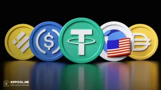 استیبل کوین سودده چیست؟