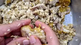 پخت غذای جنوبی با کوسه ماهی به روایت 2 بانوی روستایی