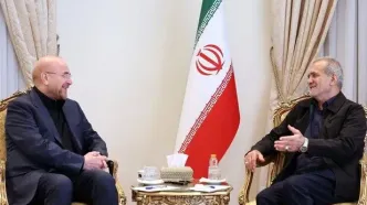 قالیباف هم مثل پزشکیان شجاعت دارد بگوید نمایندگان کار نمی‌کنند و پول می‌گیرند؟!