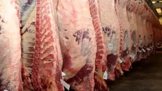 قیمت گوشت شترمرغ اعلام شد