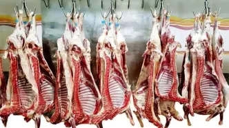 جدیدترین نرخ گوشت قرمز در بازار امروز ۲۰ شهریور ۱۴۰۴