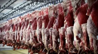 گوشت 600هزارتومانی جایگزین گوشت دولتی شد