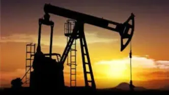تداوم افزایش قیمت طلای سیاه