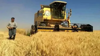 آیا گندم وارداتی باز هم ارزان‌تر از گندم داخلی خواهد بود!؟