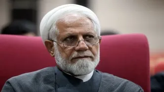 احمدی، نماینده مجلس: تا زمانی که عضو NPT هستیم ناچاریم با آژانس انرژی اتمی همکاری کنیم/ قرارداد با آژانس طبق قانون مجلس بسته شد
