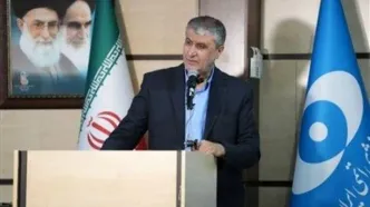 اسلامی: بعد از توافق با آژانس، اروپا مواضع تندتری گرفت