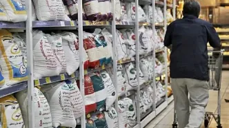 قیمت جدید برنج ایرانی اعلام شد