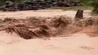 ببینید؛ تلاش ناموفق خودروی جیپ برای عبور از میان سیلاب