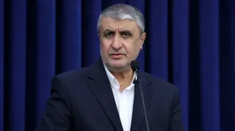 سفر ۲ بازرس آژانس با مجوز شورای عالی امنیت ملی