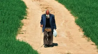 فیلم کوتاه «ویر» به بفتا می‌رود