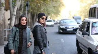 جایزه بهترین فیلم خارجی شیکاگو به «زمستان بود» رسید