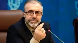 ذوالفقاری: پیشنهاد واردات یا کشت کنترل‌شده خشخاش بررسی خواهد شد