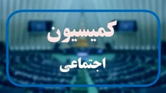 جلسه کمیسیون اجتماعی با آملی لاریجانی و عارف