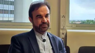 نجفی: تلاش می‌کنیم قطعنامه ایران در وین تصویب شود