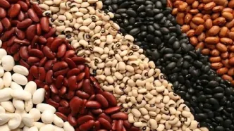 ثبت سفارش حبوبات سهمیه فصل پاییز از ۲۹ شهریور