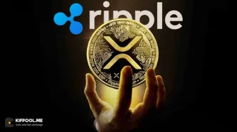 موج تازه در بازار رمزارز: جهش عجیب معاملات XRP با وجود ریزش