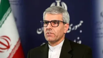 سخنگوی وزارت امور خارجه: بریکس و شانگهای باید اقدام اروپا را رد کنند