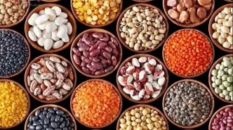 قیمت روز حبوبات ۲۶ شهریور ۱۴۰۴؛ نرخ‌های تازه را اینجا ببینید!