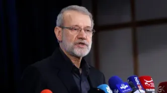 لاریجانی به مشاور نخست‌وزیر انگلیس چه گفت؟