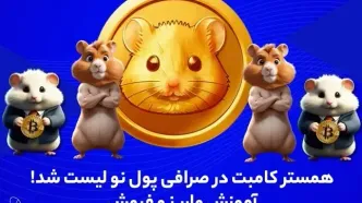 همستر کامبت در صرافی پول نو لیست شد! آموزش واریز و فروش