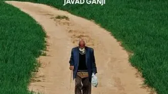 «ویر» به فستیوال مورد تایید جوایز بفتا می‌رود