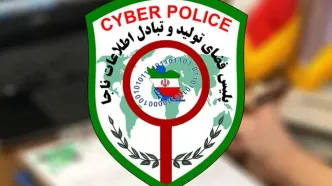 افزایش کلاهبرداری با خرید در صفحات فروشگاهی جعلی مجازی