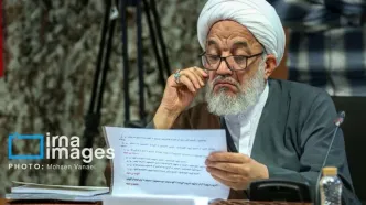 واکنش «آقا تهرانی» به حضور بازرسان آژانس در ایران