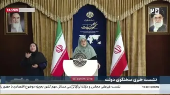 فوری: دولت به این نوزادان دو و نیم میلیون تومان سهام می دهد + فیلم