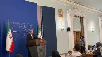 بقائی: آمریکا برای هیئت ایرانی ویزا صادر کرد