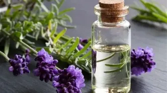 منع مصرف داروهای گیاهی در زنان باردار
