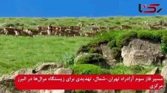 فاز سوم آزادراه تهران-شمال، تهدیدی برای زیستگاه غنی مرال در البرز مرکزی