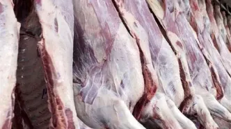 قیمت روز گوشت قرمز امروز | نرخ انواع گوشت ۱۵ شهریور ۱۴۰۴