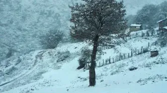 پیش‌بینی هواشناسی؛ این مناطق برفی می‌شوند