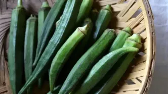 معجزه بامیه برای زانو درد