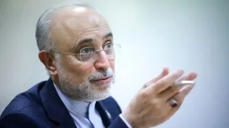 صالحی: عراقچی محتاط‌تر شده و از همه اختیاراتش استفاده نمی‌کند