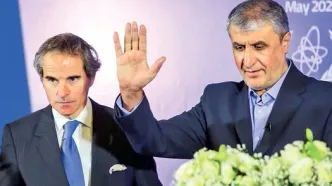 اسلامی به گروسی: شما باید از پوتین یاد بگیرید