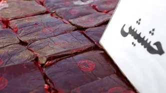 حشیش مخدر مرگبار؛ سیاست‌ها در حوزه مبارزه با مواد مخدر در عمل تاثیر چندانی نداشته است
