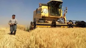 خبر مهم وزیر برای گندمگاران / شرط تعیین قیمت جدید گندم