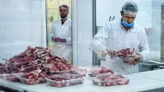 ماجرای جنجالی واردات گوشت‌‌ آلوده از مغولستان