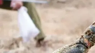 نسل زد آخرین شاهد طبیعت ایران